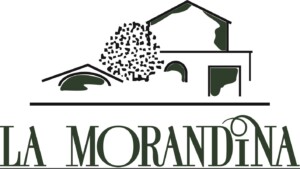 logo_morandina