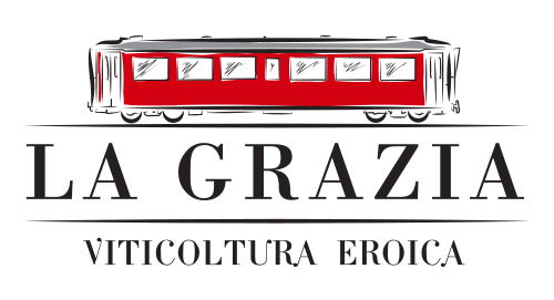 logo_grazia_wb