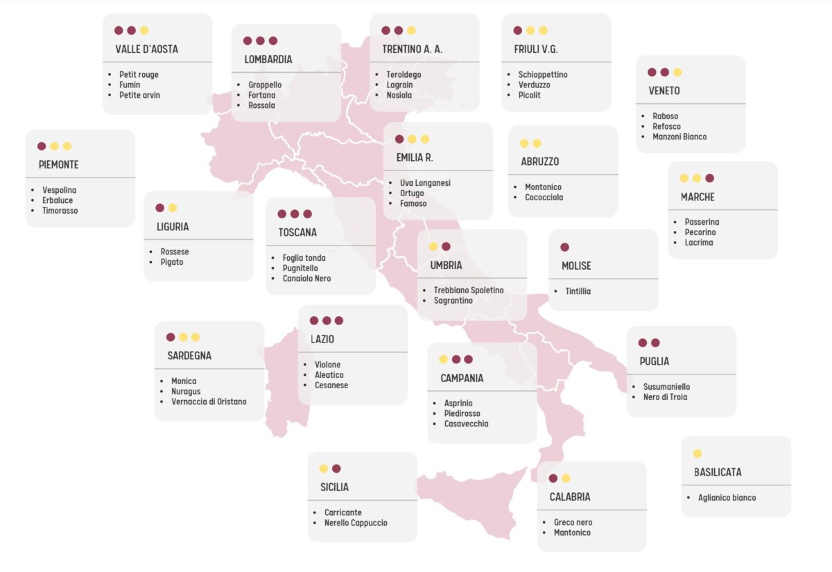 Mappa dei vitigni minori italiani