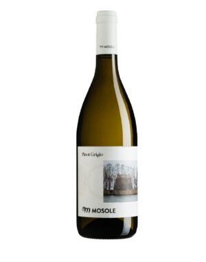 Pinot Grigio 2019 - Mosole