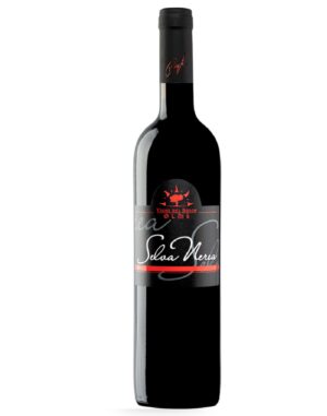 Cabernet Veneto IGT 2019 - Vigne del Bosco Olmè