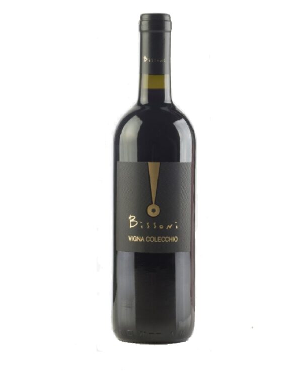 Sangiovese DOC "Vigna Colecchio" 2013 - Bissoni