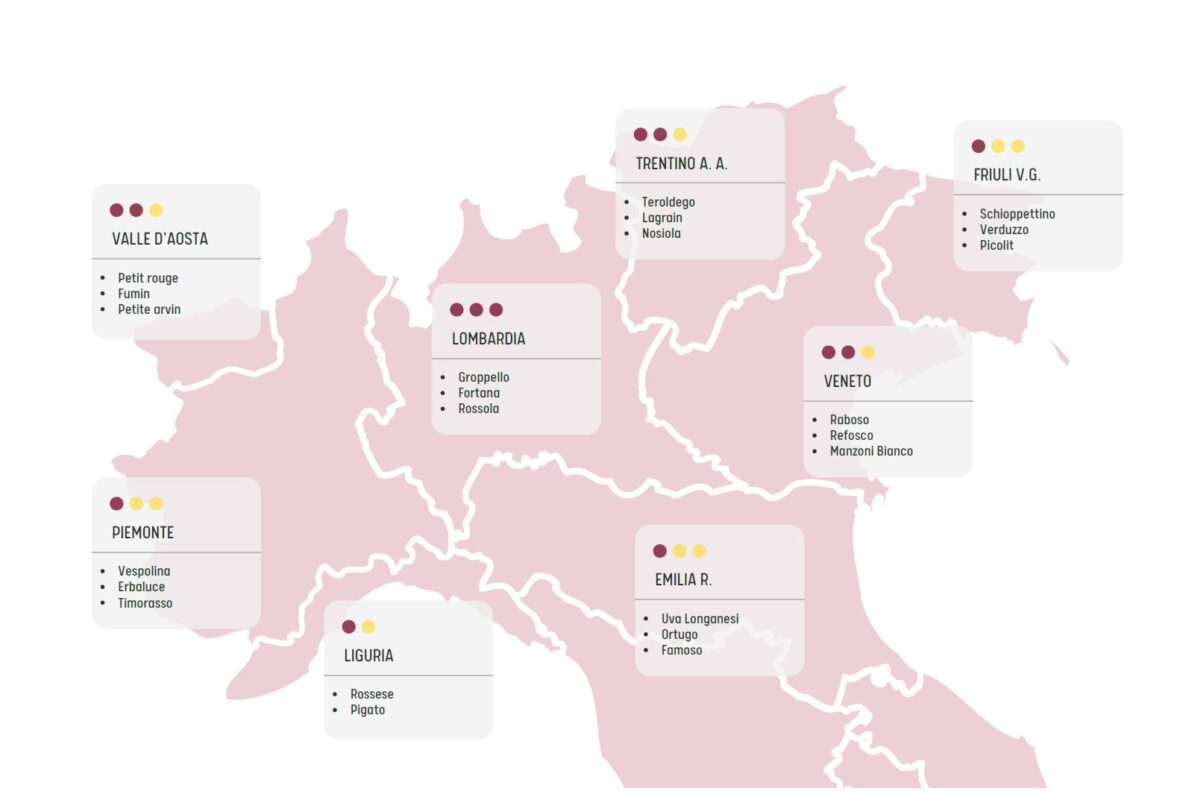 i vitigni minori del Nord Italia: un viaggio unico